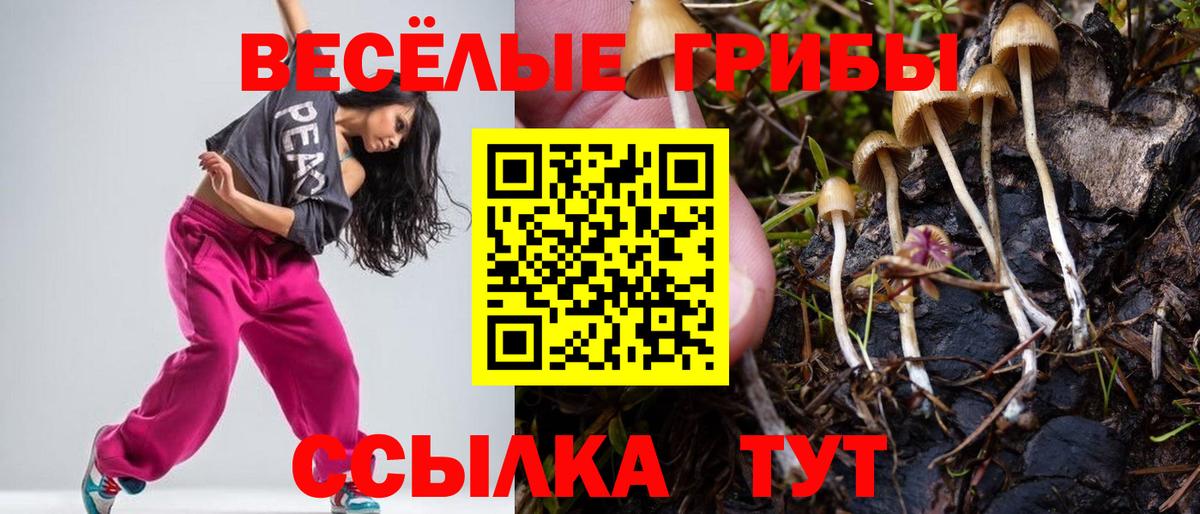 Галлюциногенные грибы ЛСД Электрогорск
